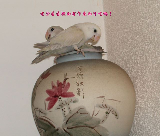 連續劇、看不完