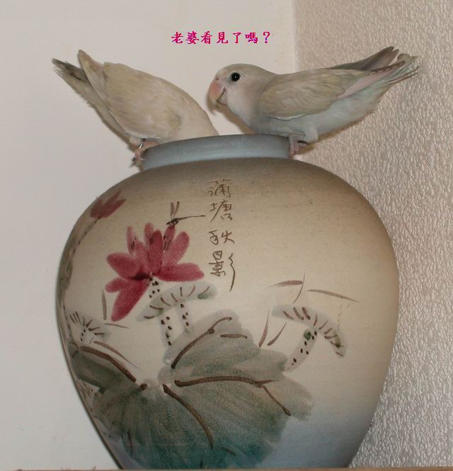 連續劇2