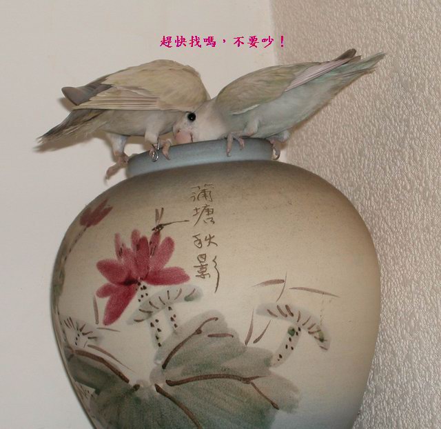 連續劇3
