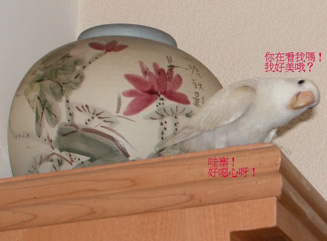 你在看我呀！