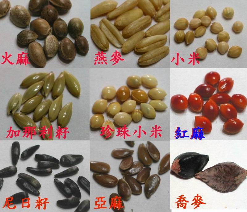 綜合穀物飼料