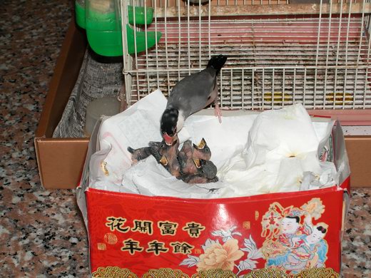 好幸福哦、媽咪來了