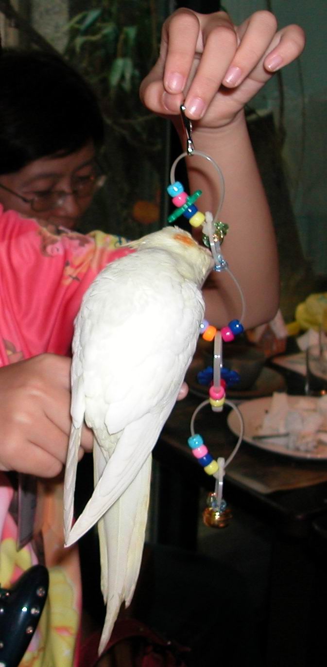 0822鳥聚