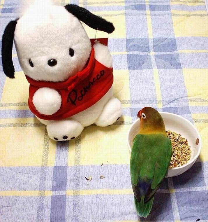 hui