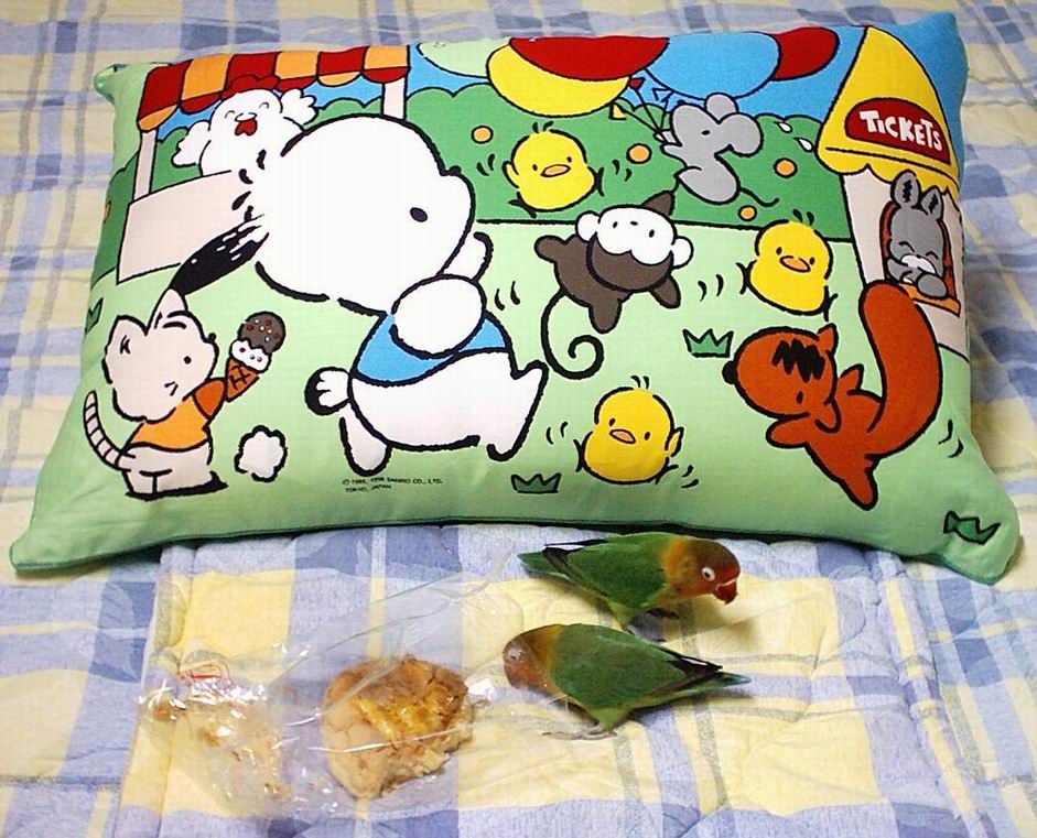 牡丹吃麵包