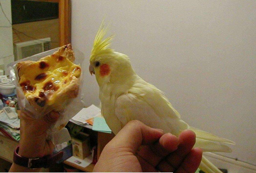 超大ㄉ唷！