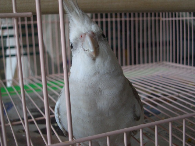嗨!!你在看我嗎?