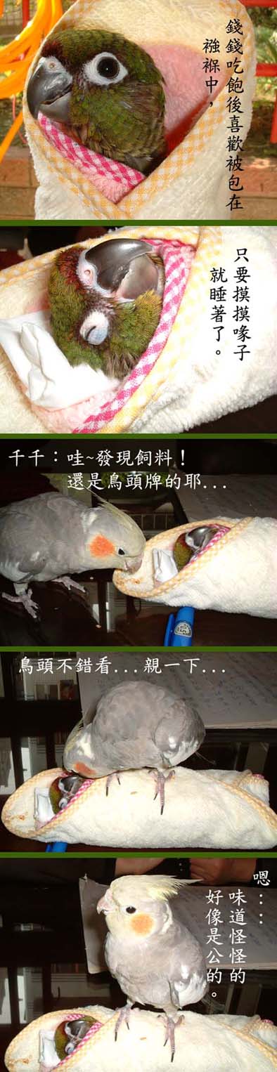 睡公主與黑馬王子