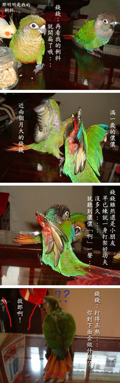 打擂台