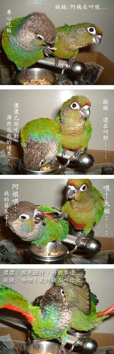 倒楣的錢錢