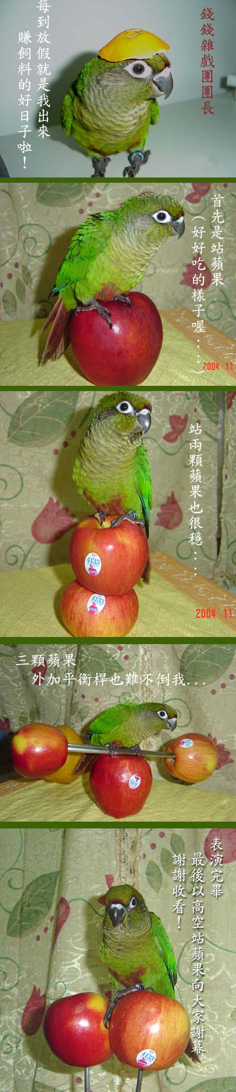 錢錢雜戲團