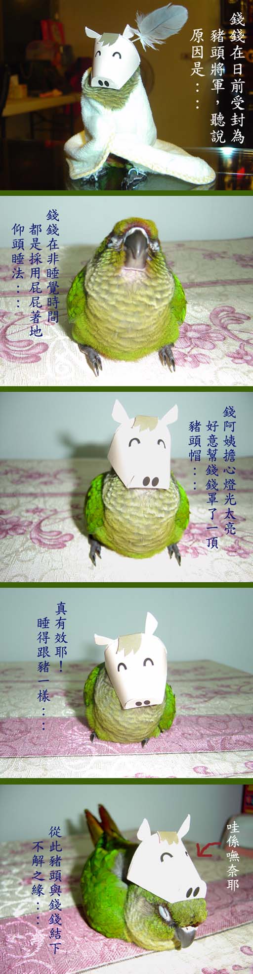 豬頭將軍的由來