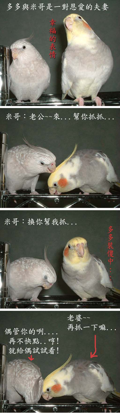 恩愛的夫妻