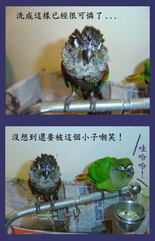 沒禮貌的錢錢