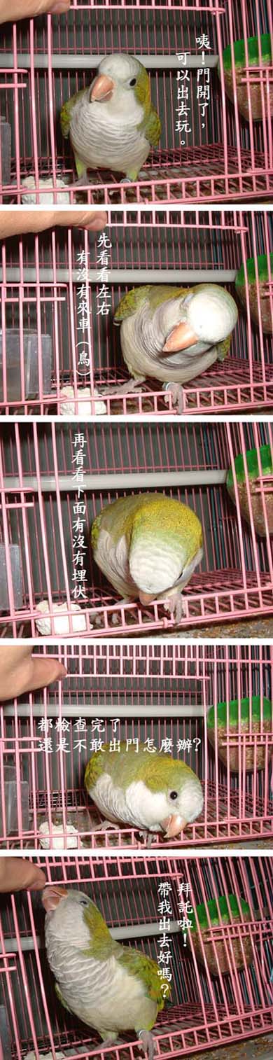 出門有這麼困難嗎