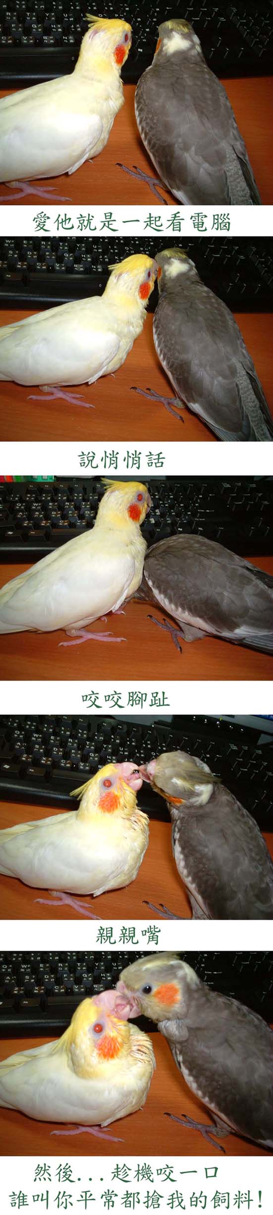愛他..............