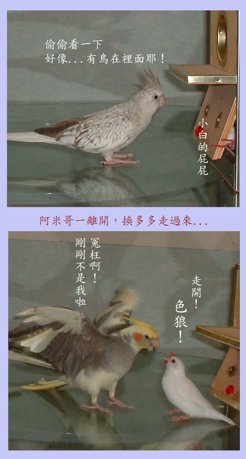 色狼多多