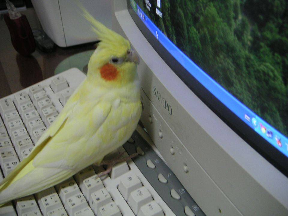 我要進去!!