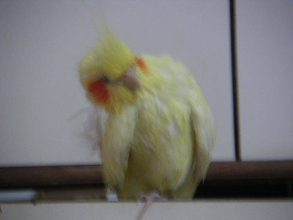 挖~~好癢喔~