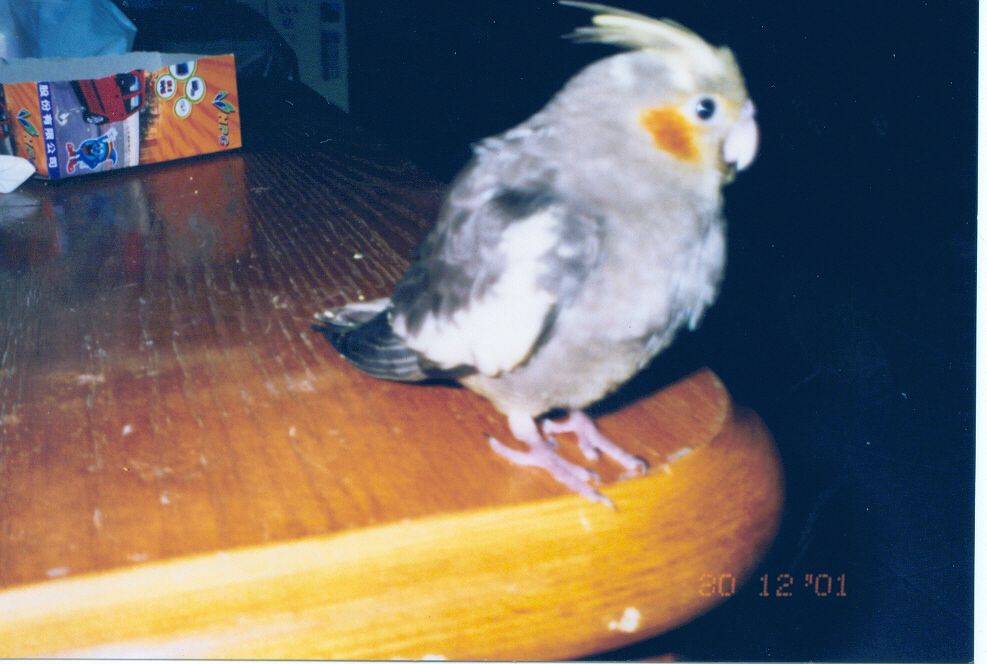 jackyni