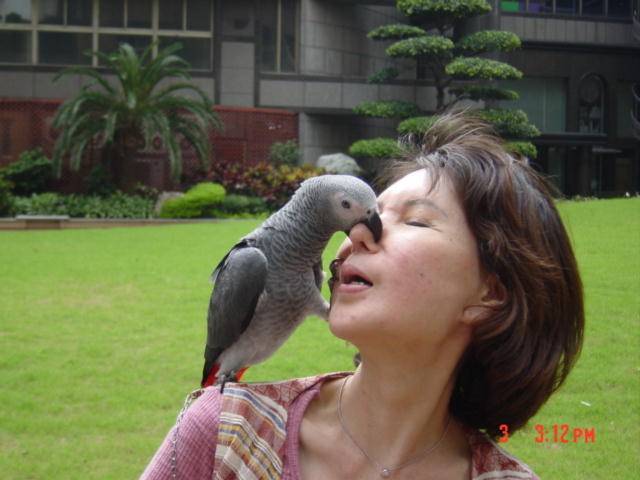 鼻一鼻