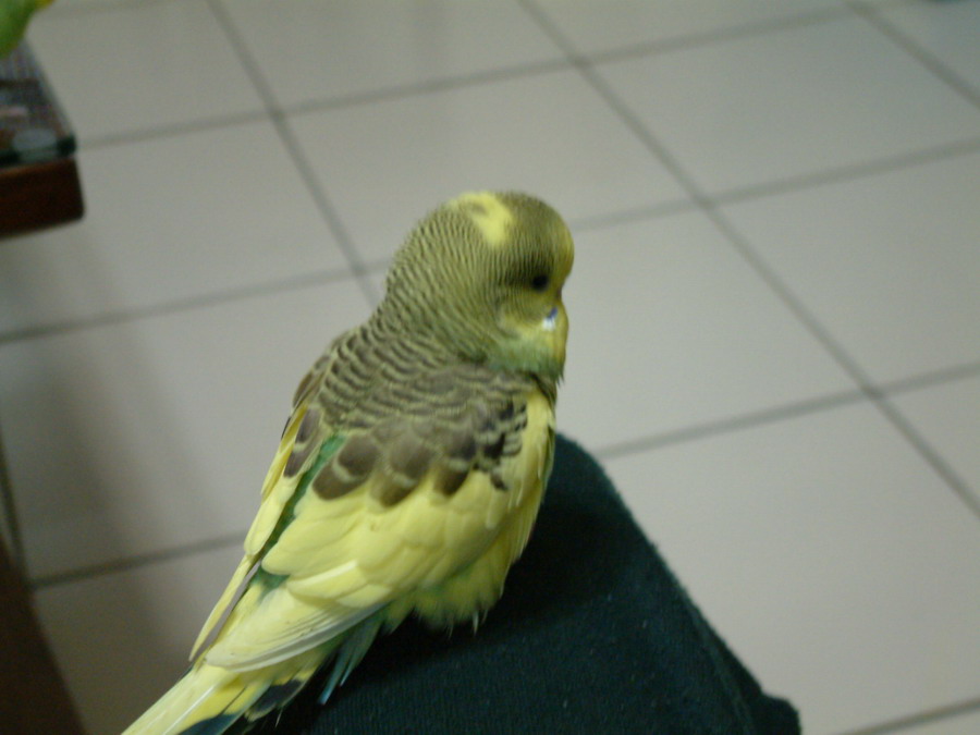 站在高處