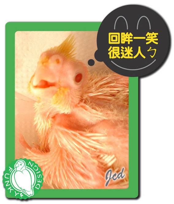 22天的寶寶