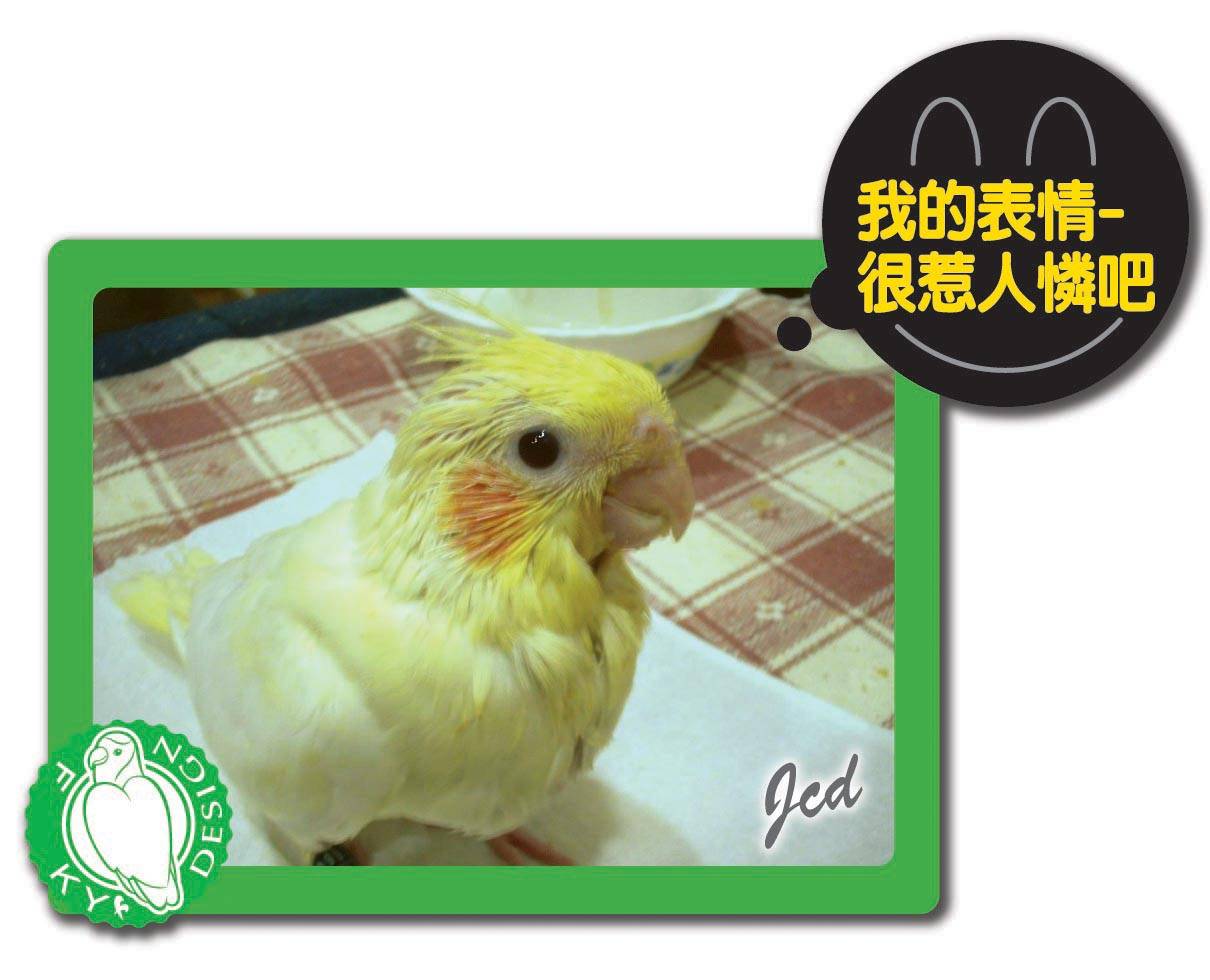 32天寶寶