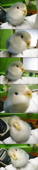 裝可愛