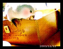 2003/11/12