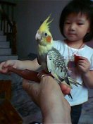 jenlon