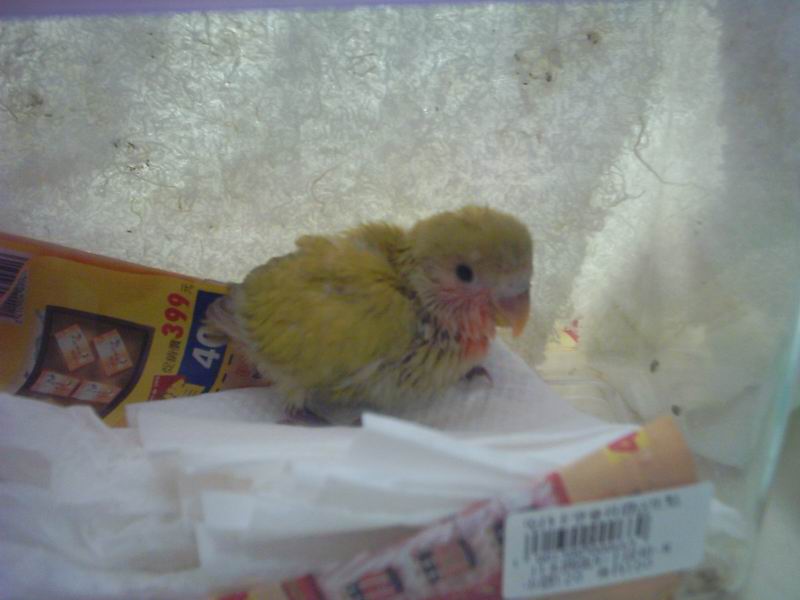 new baby