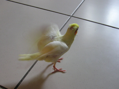 感覺對了~~