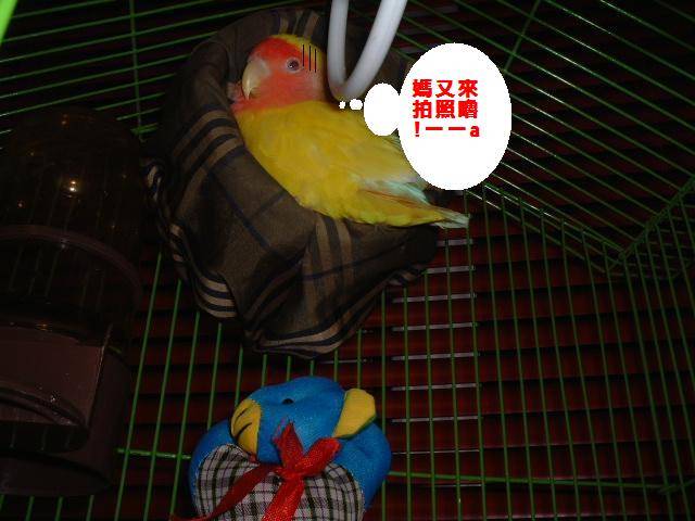 另一張舒服滴床!!