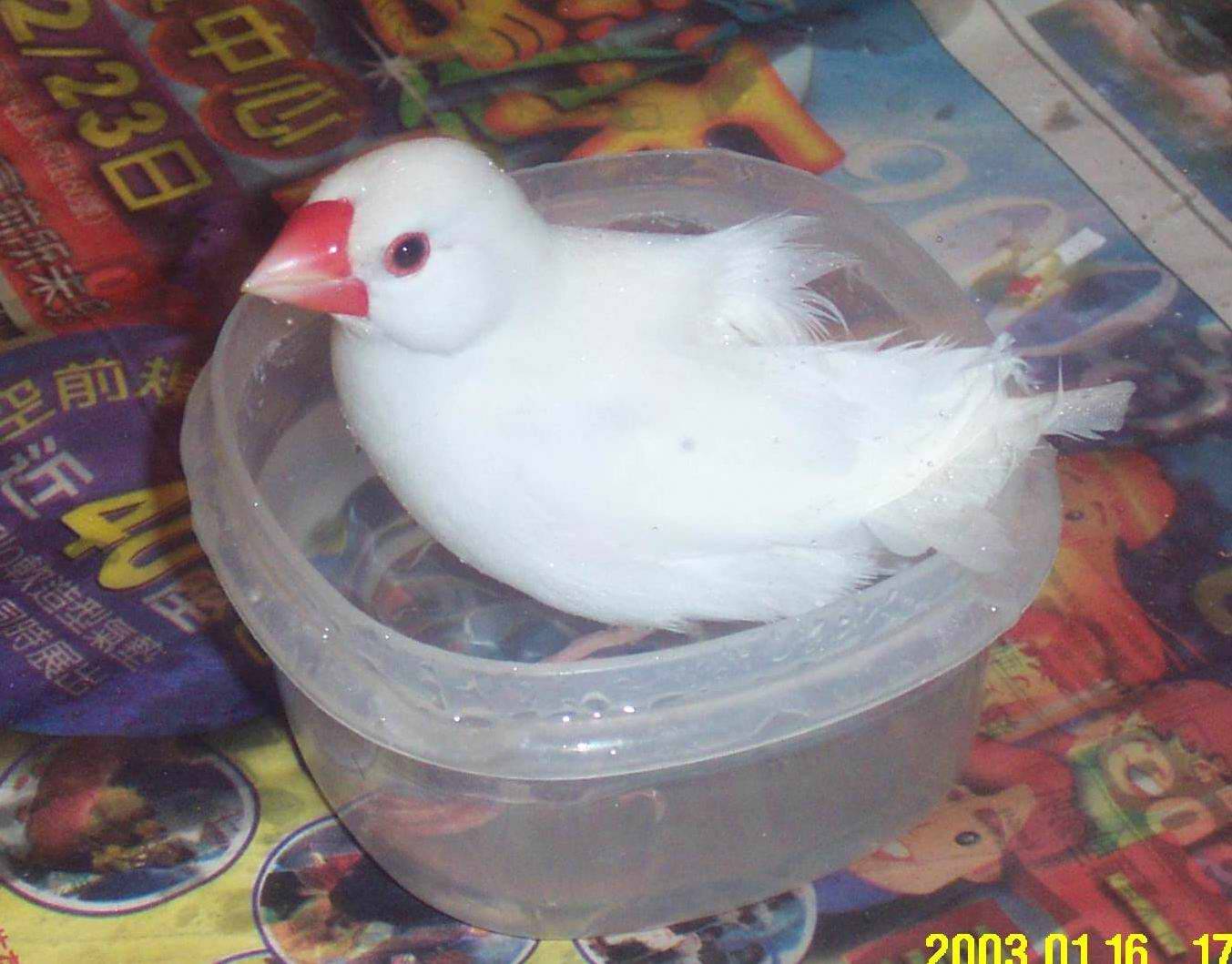 好好玩唷