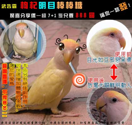 參加選美比賽用照片..