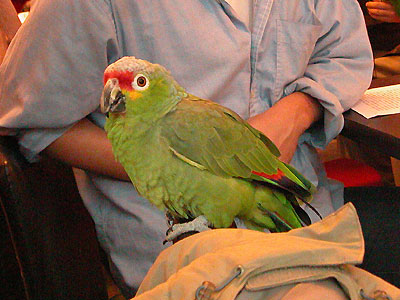 1/11鳥聚照片
