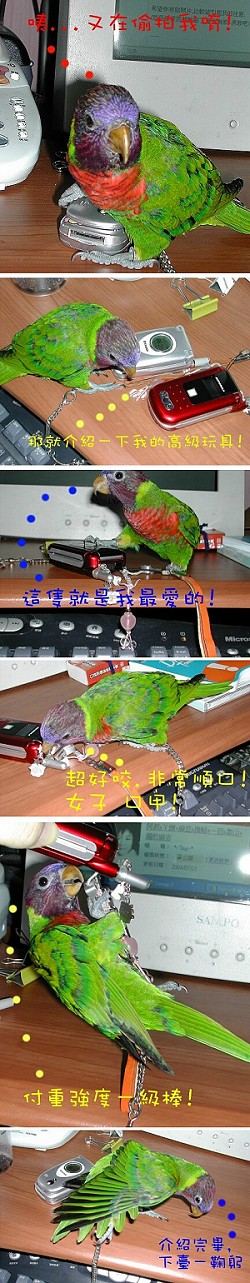 COCO玩具記~*