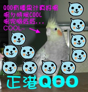 妮可轉大人照片~*