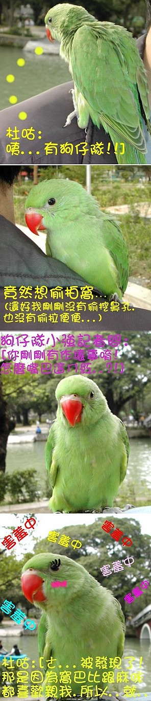 2004.04.25.笆辣日報    特派記者 小強