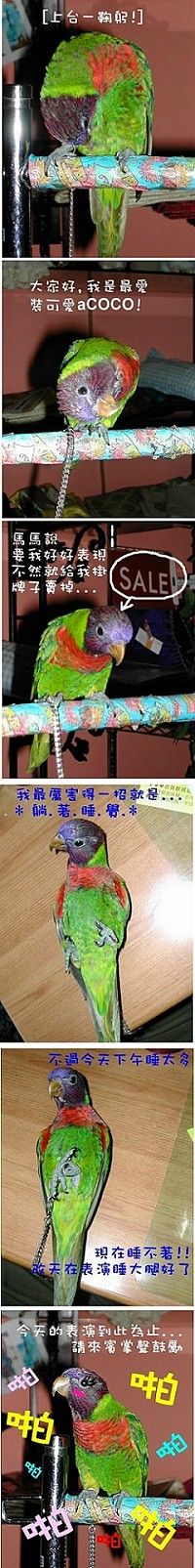 COCO表演記~*