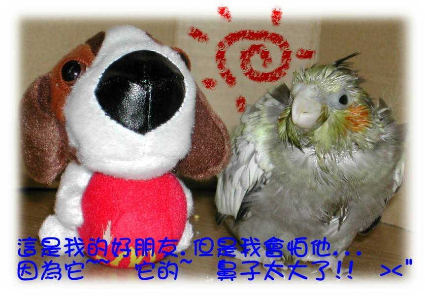 再介紹我的新朋友唷!!