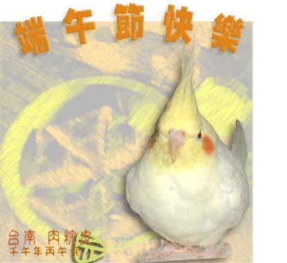 肉粽皮 慶佳節