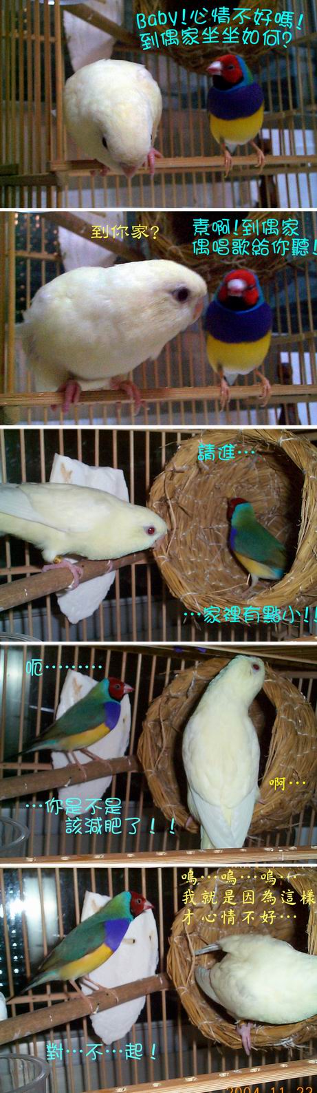小平把妹!