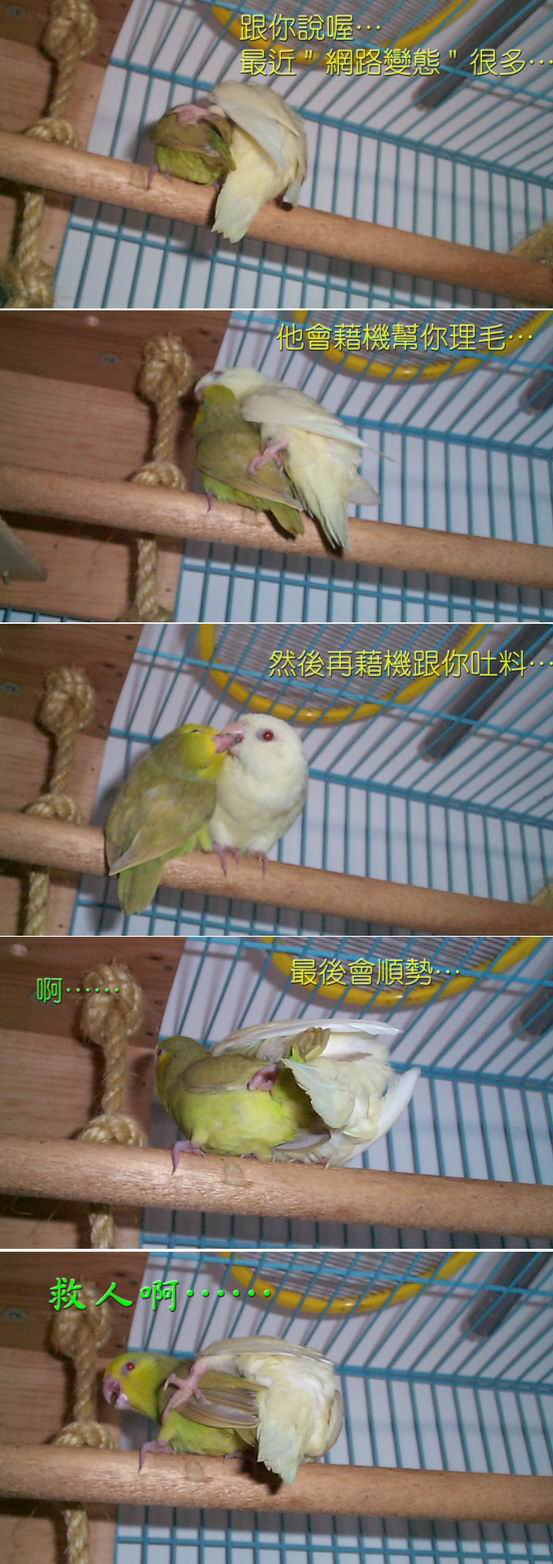 網路變態實錄(一)