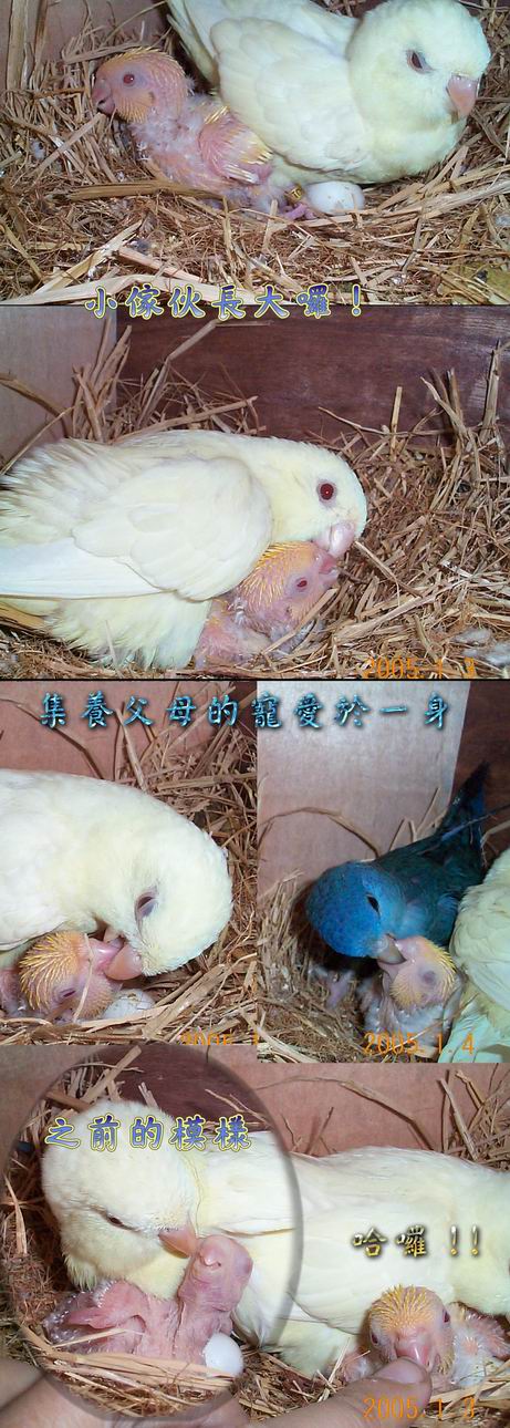 超母愛小胖妹02
