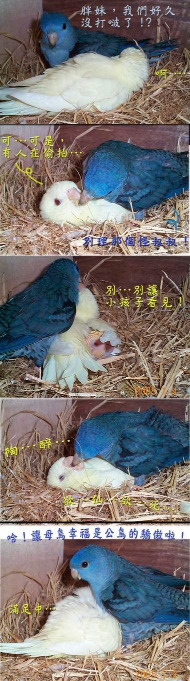 小胖妹之「激情舌吻」