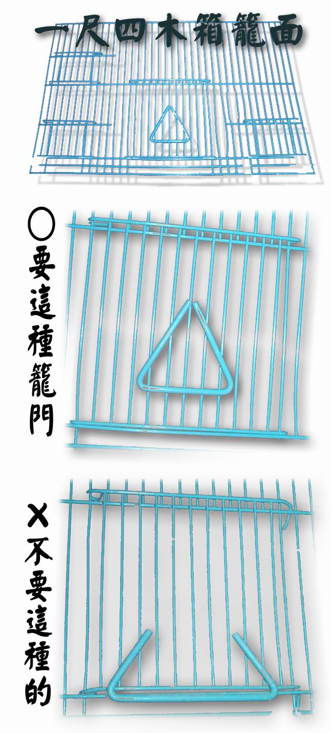美美滴變種桔梗!!