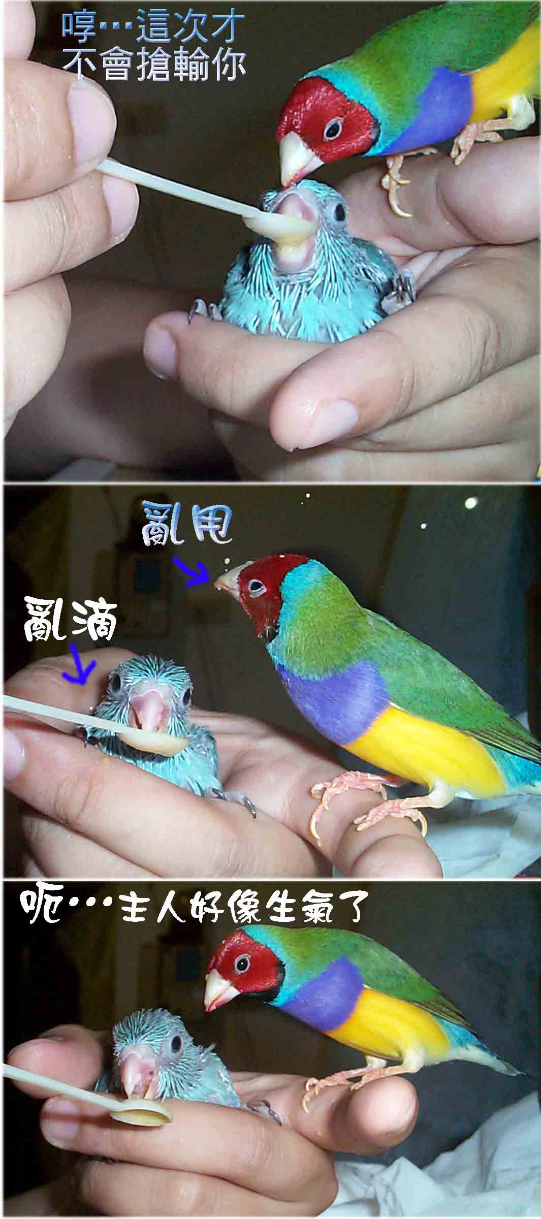 太平洋巢箱15