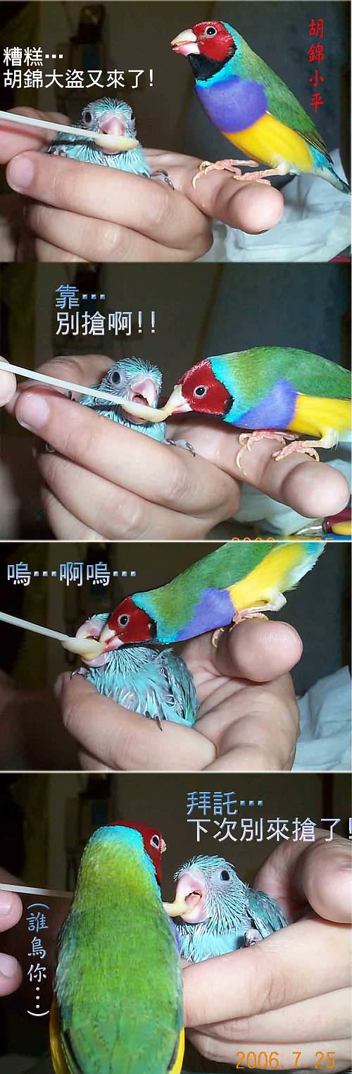 太平洋巢箱14